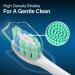 Replacement Toothbrush Heads Compatible with Philips Sonicare C2 - 12 Pack | Universal Fit for All Philips Sonicare Click-on Electric Toothbrushes - Buy Online on GoSupps.com