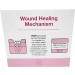 Push Collagen Dipeptide Concentrate - Mixed Berry Flavor | Boost Collagen Production for Healthy Skin - Buy Online on GoSupps.com