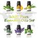 ASAKUKI 300ml Aroma Diffuser with 6Pcs*10ml Pure Essential Oil Set - Z-Yellow Wood Variant | 4 Timer Settings, 15 Color Lights, Auto Shut-Off | Cool Mist Essential Oil Diffuser - Buy Online on GoSupps.com