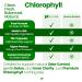 Healthfare Chlorophyll Capsules 600mg | Internal Deodorant & Body Odor Support | 150 Veg Pills for Women & Men | Premium Plant-Based Supplement | Vegan Non-GMO Gluten-Free | Made in USA - Buy Online on GoSupps.com