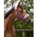 Netproshop Solid Horse Halter - Padded Adjustable Size for Mini Shetland to Full Blood Purple Color - Buy Online on GoSupps.com