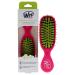 Wet Brush Hair Brush Mini Shine Enhancer Detangler with Flexible Boar Bristles  Hair Accessory Travel Comb for All Hair Types- (Pink Yellow)  Standard Pink 1 Count (Pack of 1)