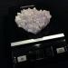 SQGCPGOQ Mexican Phantom Amethyst 11oz 170207 - Buy Online on GoSupps.com
