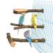 Roundler 3 Pack Apple Wood Bird Perch for Cage, Natural Wooden Parrot Perch Stand Platform Exercise Climbing Paw Grinding Toy Playground Accessories for Parakeet, Conure, Cockatiel, Budgie, Lovebirds H02