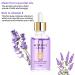Organic Nail Cuticle Oil 15ml - Vitamin E & B Jojoba Oil Moisturizes & Repairs Dry Rough Cuticles Dropper Design Premium Nail Care Lavender Scent flavor - Buy Online on GoSupps.com