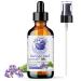 Bella Terra Oils Borage Seed Oil. 120ml. 100% Pure. Cold-pressed. Unrefined. PA-free. Hexane-free. Rich in GLA. Natural Moisturizer for Skin Hair. 120 ml (Pack of 1)