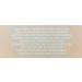 Nuria Defend Overnight Face Cream - Night Cream for Skin Recovery with Seaweed & Aloe 50mL - Buy Online on GoSupps.com