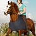 Stretch School Protection for Horses | Elastic Shoulder & Breast Protection Vest - Comfort Fit Anti-Bibs Black L - Buy Online on GoSupps.com