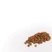 Camellia Brand Dried Crowder Peas 1lb (2 Pack) - Premium Quality Peas for Versatile Cooking - Buy Online on GoSupps.com