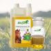 Stiefel Milk Thistle Oil 1 l - Buy Online on GoSupps.com