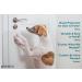 PROTECTO 2-Pack 35.5x15.5 Door Protector for Furniture & Walls - Clear Anti-Scratch Guard for Cats - Heavy Duty Cat Scratching Deterrent - Buy Online on GoSupps.com