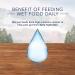 Blue Buffalo Wilderness Wild Delights Natural Wet Cat Food Chicken & Trout Flaked 5.5oz (Pack of 24) Large Cans Flaked Chicken & Trout - Buy Online on GoSupps.com