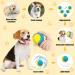 Bestomrogh 4Pcs Squeaky Dog Ball Set for Puppy and Dogs - Durable, Interactive and Anxiety-Relieving Chew Toys for Training and Teeth Cleaning - Buy Online on GoSupps.com