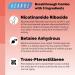 2000mg Liposomal Nicotinamide Riboside with TMG & Pterostilbene | Boost NAD+ & Energy Metabolism | 60 Count - Buy Online on GoSupps.com