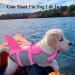 Dogcheer Shark Dog Life Jacket - Adjustable Pet Swim Vest for Small to Large Dogs - Ripstop Puppy Floatation Life Jacket with Rescue Handle - X-Small, Pink - Buy Online on GoSupps.com