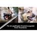 Premium Stainless Steel Dog Denture & Tartar Remover - 2-Sided Tooth Cleaner Scratcher for Pets - Buy Online on GoSupps.com