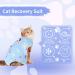NiCola Cat Professional Recovery Suit for Abdominal Wounds or Skin Diseases E-Collar Alternative for Cats After Surgery Wear Kittens Physiological Clothes (Blue M) M Blue - Buy Online on GoSupps.com