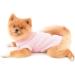 Paidful Soft Cotton Vest T-Shirt for Small Medium Dogs & Cats - Summer Sleeveless Breathable Pet Clothing for Puppies & Young Girls - Pink M (Back Length: 25cm) - Ideal for Chihuahuas & Yorkies - Buy Online on GoSupps.com