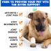 Dogs Promote Joint Health - Restore Cartilage Lubrication and Flexibility - Pet Hip Glucosamine Drops - Premium Formula with Glucosamine Chondroitin and MSM - Enhances Support for Mobility -2fl.oz - Buy Online on GoSupps.com