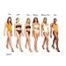 Melanie Mills Hollywood Gleam Body Radiance Rose Gold 3.4 fl.oz - Buy Online on GoSupps.com