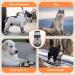 Eyin Dog Shoes - Breathable Paw Protection Non-Slip Sole & Reflective Velcro for All Dog Sizes - Gray Size 5 (4 Pieces) - Buy Online on GoSupps.com