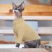 Shop Pumyporeity Cat Sweater - Warm Cotton Coat for Cats | XL Khaki Sphynx Clothing - Buy Online on GoSupps.com