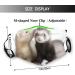 PPFINE Ferrets Fashion Animal Breathable Face Cover Adjustable Reusable Washable For Teenagers Men Women Balaclava Ferrets Fashion Animal 1 count (Pack of 1) - Buy Online on GoSupps.com