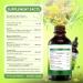 5 in 1 Mullein Drops for Lungs - 1600mg Organic Mullein Leaf Extract Supplement 2 oz Mullein Tincture with Elderberry Marshmallow Orange Peel & Ginger Root Liquid Extract - 60ml - Buy Online on GoSupps.com