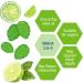 Weider Omega Gummies - Vegan Omega 3-6-9 for Heart Health & Anti-Inflammatory Support - Gluten-Free & No Added Sugar - 50 Gummies - Buy Online on GoSupps.com
