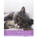 Lega Phyton 50 - Liver Support Tablets for Dogs & Cats | Silymarin Supplement | 24 Tablets - International Shipping Available - Buy Online on GoSupps.com