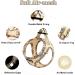 Doramio Dog Harness for Small Dogs | Reflective & Breathable Step-In Leash | Anti-Train Safety Dishes for Dogs & Cats - Beige XL - Buy Online on GoSupps.com