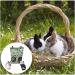 LELEO Rabbit Feeder Hanging Rabbit Hay Feeder Bag Foldable Hay Storage Bag for Rabbit Guinea Pig Hamster Chinchilla S-Avocado - Buy Online on GoSupps.com