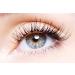 P-Beauty Eyelash Lifting #2 Fixation Lotion - 5ml Permanent Shaft Solution | Cosmetic Accessories for Stunning Lashes - Buy Online on GoSupps.com