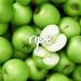 Sanaia Unsweetened Organic Applesauce - Island-Inspired Snack - 4oz Cups (Pack of 18) - Buy Online on GoSupps.com