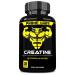 Prime Labs Creatine Capsules - Creatine Monohydrate Pills for Men & Women - 5g (5000mg) Pure Creatine per Serving - Muscle Growth Muscle Recovery Brain Function - Workout Supplement - 120 Count 120 Count (Pack of 1)