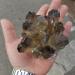 for Natural Smokey Quartz Tea Crystal Cluster Stones Crystal Point Specimen Home Decoration Raw Crystals Gemstones and Crystal dingchi FUZEGRDLI (Size : 300-400g) - Buy Online on GoSupps.com