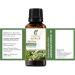 100% Pure Harshringar (Parijat) Essential Oil - Uncut Therapeutic Grade - 100ml (3.38 fl. oz) - Natural Aromatherapy Oil for International Shipping - Buy Online on GoSupps.com