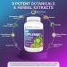 Dr. Berg DIM Supplement for Women - Estrogen Balance Menstrual & Menopause Relief with Black Pepper - 60 Capsules - Buy Online on GoSupps.com