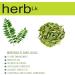 HerbLk Dried Curry Leaves (0.5 Oz / 15g) Naturally Grown 300+ Leaves Ceylon Spices Food Organic Dried Kari Patta Aromatic Flavors USDA Non-GMO No Additives No Gluten Vegan From Sri Lanka - Buy Online on GoSupps.com