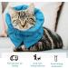 Cat Recovery Collar Soft Adjustable Cat Cone Collar Breathable Cat Neck Protector Elizabethan Collar Lightweight Waterproof Kitten Cone Alternative for Puppies Pets Stop Licking (S Blue) - Buy Online on GoSupps.com