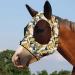 Harrison Howard Super Comfort Stretchy Fly Mask - Large Eye Space UV Protection & Breathability | Blue-Yellow (L) - Ideal for International Shipping - Buy Online on GoSupps.com