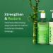 Renpure Bamboo & Quinoa Shampoo - Plant-Based Hair Restore Hydrate & Strengthen for Damaged Hair - 24 Fl Oz - Buy Online on GoSupps.com