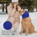 Dog Scarf & Earmuffs - Cozy Neck & Ear Warmer for Comfort | Calming Dog Hoodies in Blue - International Shipping - Buy Online on GoSupps.com