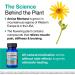 VitaMedica Arnica Montana 30X HPUS Tablets - 150 Ct | Plant-Based Muscle Pain Relief & Post-Surgery Homeopathic Remedy - Buy Online on GoSupps.com