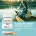 IBDassist IBS Relief Supplement - Digestive Health Support - Non GMO Gluten Free - Made in USA - Buy Online on GoSupps.com