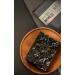 CJ Bibigo Savoury Crispy Roasted Korean Seasoned Seaweed Laver Nori Snacks (10 Pcs) 40g - Buy Online on GoSupps.com