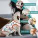 Pumyporeity Dog Postoperative Suit - XS Mushroom | Wound Protection & Anti-Licking Alternative for Puppies - Buy Online on GoSupps.com