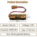 Buy WELLVEUS 10 Pack CR8.LHC 3V 2600mAh Batteries for Fuji FDK CR8-LHC | Long-lasting Automatic Flusher Power - Buy Online on GoSupps.com