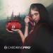 CardKingPro Red Immense Dice Bag with Pockets - 150+ Dice Capacity - Ideal for Dice Hoarders - Patented Design - Buy Online on GoSupps.com