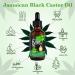Organic Castor Oil - 100% Pure and Natural Castor Oil stimulates and strengthens hair growth Eyelashes Eyebrows Beard Body Face Nails Moisturizes Skin and Hair - Buy Online on GoSupps.com